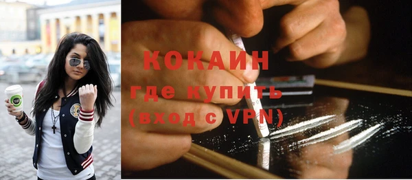 дурь Инта