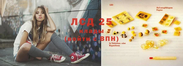 дурь Инта