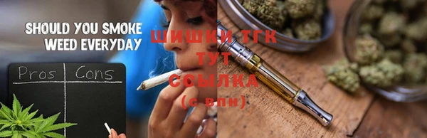 дурь Инта