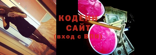 дурь Инта