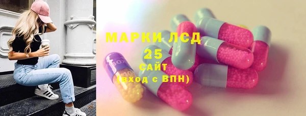 дурь Инта