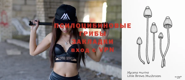 мдпв Иннополис