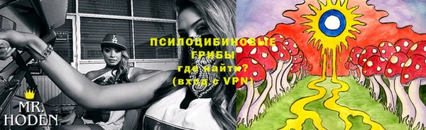 мдпв Иннополис
