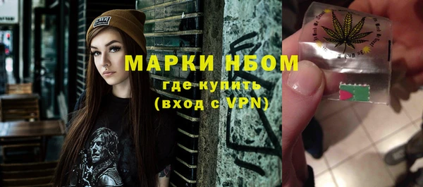 дурь Инта