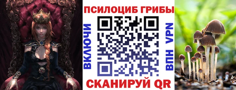 Галлюциногенные грибы Psilocybe  Черкесск 